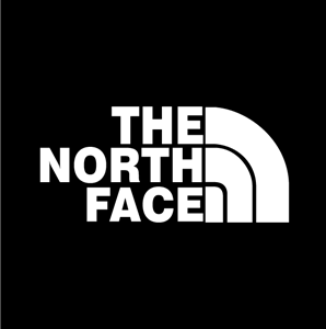 The_North_Face-logo-2CF514AF4E-seeklogo.com